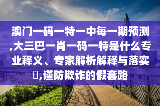 澳門一碼一特一中每一期預(yù)測(cè),大三巴一肖一碼一特是什么專業(yè)釋義、專家解析解釋與落實(shí)?,謹(jǐn)防欺詐的假套路