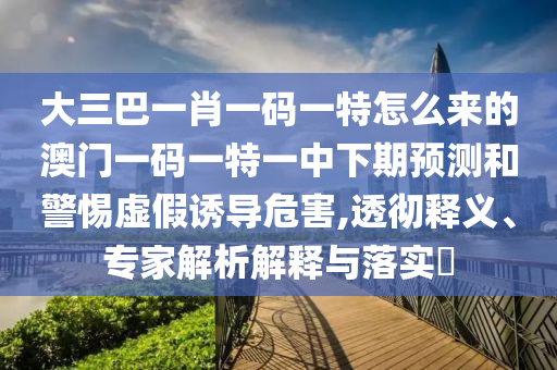 大三巴一肖一碼一特怎么來的澳門一碼一特一中下期預(yù)測和警惕虛假誘導(dǎo)危害,透徹釋義、專家解析解釋與落實?