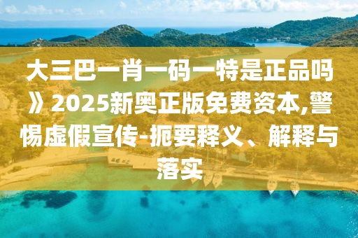 大三巴一肖一碼一特是正品嗎》2025新奧正版免費(fèi)資本,警惕虛假宣傳-扼要釋義、解釋與落實(shí)