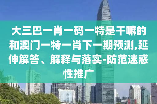 大三巴一肖一碼一特是干嘛的和澳門一特一肖下一期預(yù)測,延伸解答、解釋與落實-防范迷惑性推廣