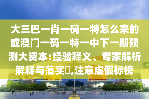 大三巴一肖一碼一特怎么來的或澳門一碼一特一中下一期預測大資本:經(jīng)驗釋義、專家解析解釋與落實?,注意虛假標榜