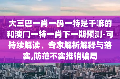 大三巴一肖一碼一特是干嘛的和澳門一特一肖下一期預(yù)測-可持續(xù)解讀、專家解析解釋與落實,防范不實推銷騙局