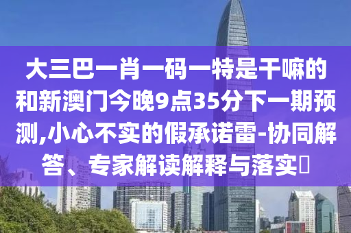 大三巴一肖一碼一特是干嘛的和新澳門今晚9點35分下一期預測,小心不實的假承諾雷-協(xié)同解答、專家解讀解釋與落實?
